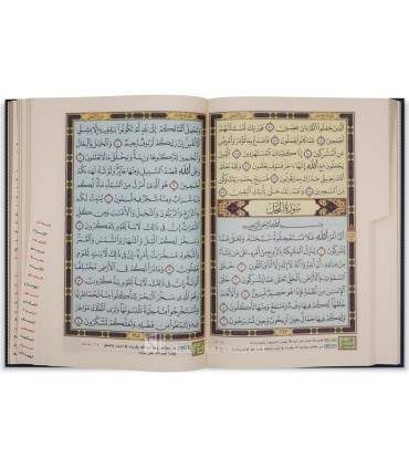 Quran with tab for each Sura + Color by subject + Gold edges - مصحف التفسير الموضوعي المفهرس مع التبويب - مذهب شمواه 17*24