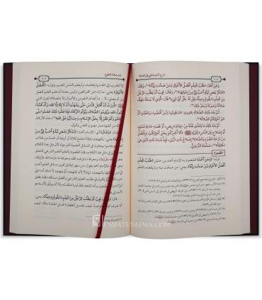 Sharh Adab al-Mashi ila as-Salat - Shaykh Salih al-Luhaydan - شرح أداب المشي إلى الصلاة - الشيخ صالح اللحيدان