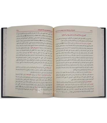 Lawami' al-Durar fi Hatk Astar al-Mukhtasar - al-Majlisi ash-Shinqiti - لوامع الدرر في هتك أستار المختصر - محمد المجلسي الشنقيطي