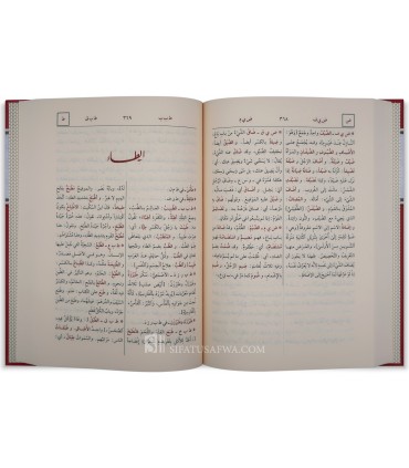 Mukhtar as-Sihah by ar-Razi (arabic dictionnary)  مختار الصحاح للرازي