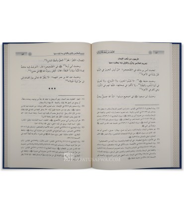 Concis des Branches de la Foi de l'Imam al-Bayhaqi  مختصر شعب الإيمان للبيهقي