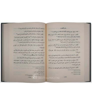 Al-Moulakhkhas li Fatawa Cheikh al-Islam ibn Taymiyyah  الملخص لفتاوى شيخ الإسلام ابن تيمية - عبد العزيز الحربي