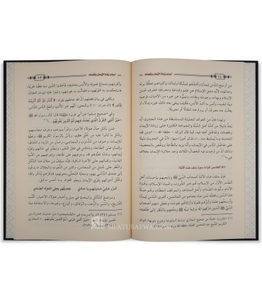 Les causes de l'augmentation et de la diminution de la Foi - al-Badr  أسباب زيادة الإيمان ونقصانه - الشيخ عبد الرزاق البدر