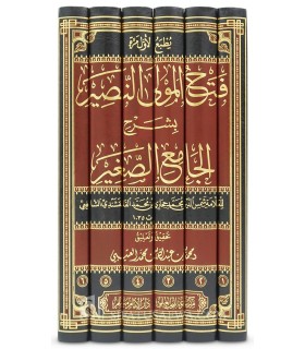 Fath al-Wali an-Nasir bi Sharh al-Jami' as-Saghir li Suyuti (6 vol.) - فتح المولي النصير بشرح الجامع الصغير - القلقشندي الشافعي