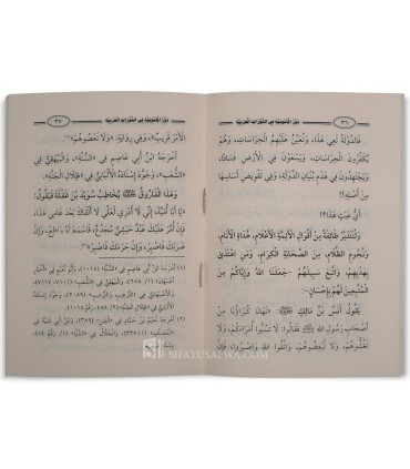 Dawru al-Masuniyah fi ath-Thawrat al-'Arabiyah - Raslan - دور الماسونية في الثورات العربية ـ الشيخ رسلان