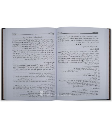 Sharh Alfiyat Ibn Malik by Ibn Qasim al-Muradi (2 volumes) - شرح الألفية لابن مالك (توضيح المقاصد والمسالك) - ابن قاسم المرادي