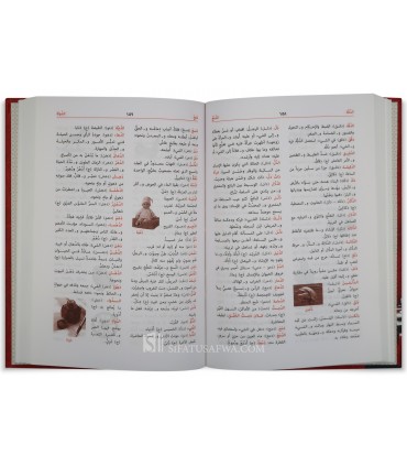 Al-Mu'jam an-Nafaes Al-Asasi - Arabic Dictionnary for Beginnner - المعجم النفائس الأساسي