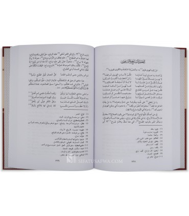 Al-Mud-hish by Imam Ibn al-Jawzi - 2 volumes - المدهش - الإمام ابن الجوزي