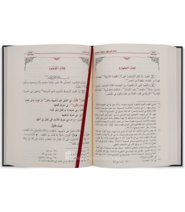 Bidaayyah al-Mujtahid wa Nihaayyah al-Muqtasid - Ibn Rushd  بداية المجتهد ونهاية المقتصد - ابن رشد