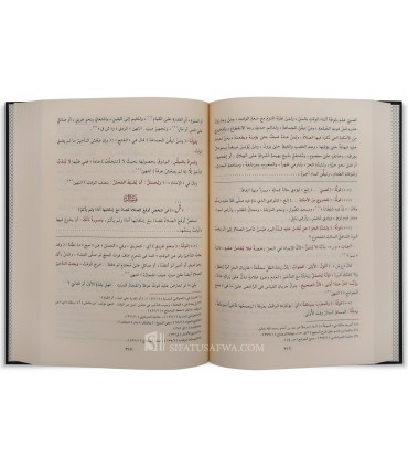 Bughyat Al-Mustarshidin fi Talkhis Fatawa (Fiqh Shafi'i) - بغية المسترشدين في تلخيص فتاوى العلماء المتاخرين مع حاشية الشاطري