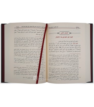 Ahadith al-Aqidah al-Mutawahhim Ishkaluha fi as-Sahihayn - أحاديث العقيدة المتوهم إشكالها في الصحيحين - سليمان بن محمد الدبيخي
