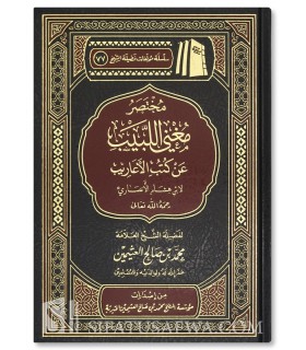 Mukhtasar Mughni al-Labib (I'rab) - Sheikh al-Uthaymin  مختصر مغني اللبيب لابن هشام - الشيخ العثيمين
