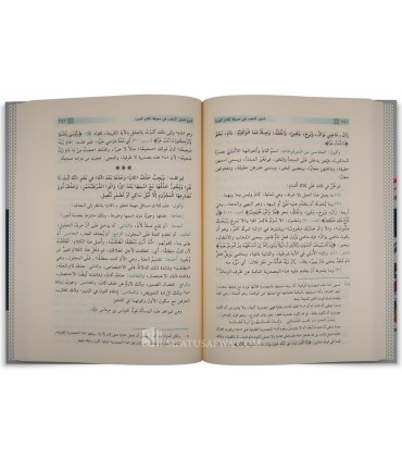 Sharh Shudhoor adh-Dhahab li Ibn Hichaam  شرح شذور الذهب لابن هشام