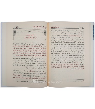 Jawami' al-Ad'iyah an-Nabawiyyah - Abdul Razzaq Al-Badr - جوامع الأدعية النبوية - الشيخ عبد الرزاق البدر