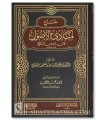 Sharh Mabadi al-Usul li Ibn Badis - Ibrahim Husayn al-Balushi