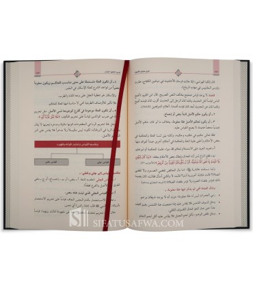 Sharh Mabadi al-Usul li Ibn Badis - Ibrahim Husayn al-Balushi - شرح مبادئ الأصول لابن باديس - إبراهيم بن حسين البلوشي