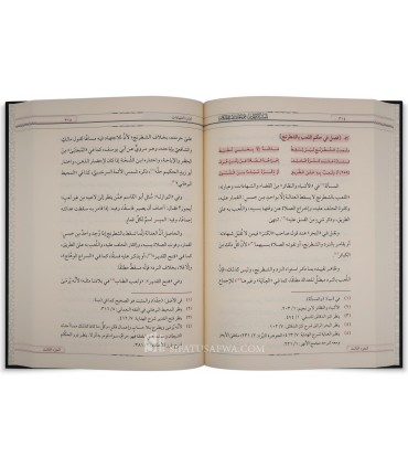Tanbih al-Afham 'ala Ma'ani 'Umdah al-Hukkam - An-Nabulsi al-Hanafi