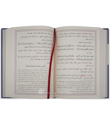Al-Muntakhab fi Sharh Laamiyat Al-‘Arab, by Ibn Abi Tayy - المنتخب في شرح لامية العرب - ابن أبي طي