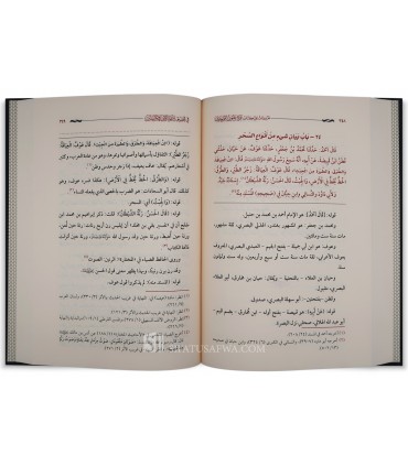 Ta'liqat 'ala Kitab Qurrat il-'Uyun al-Muwahiddin - Al-Fawzan - تعليقات علي كتاب قرة عيون الموحدين ـ الشيخ صالح الفوزان