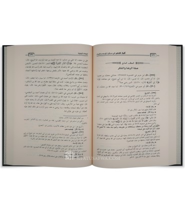 Aqwal at-Tabi'in fi Masa-il Tawhid wa Iman - AbdulAziz al-Mudbal - أقوال التابعين في مسائل التوحيد والإيمان - عبدالعزيز المبدل