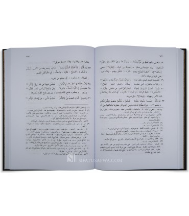 Jamharat Ash'ar al-'Arab (Collection of Arab Poetry) - 2 volumes - جمهرة أشعار العرب - أبو زيد القرشي