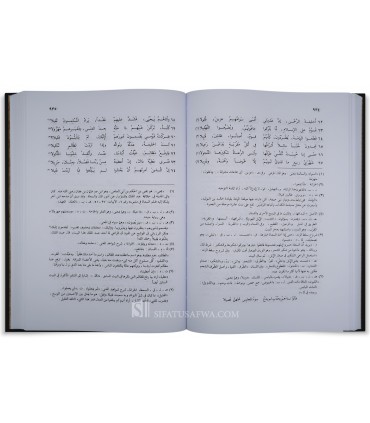 Jamharat Ash'ar al-'Arab (Collection of Arab Poetry) - 2 volumes - جمهرة أشعار العرب - أبو زيد القرشي