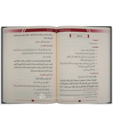 Noûr oul Idhâh fil-Fiqh al-Hanafi - Ach-Chourounboulâli   نور الإيضاح ونجاة الأرواح في الفقه الحنفي ـ الشرنبلالي