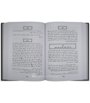 Mukhtasar Al-Majmu' Sharh al-Muhaddhab (Nawawi) - Dr Salim ar-Rafi'i