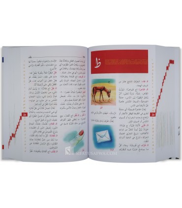 Dictionary for children (Mu'jam al-Majani)  معجم المجاني المصور