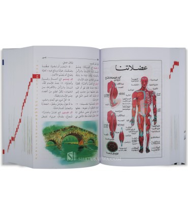 Dictionary for children (Mu'jam al-Majani)  معجم المجاني المصور