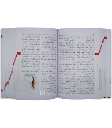 Dictionary for children (Mu'jam al-Majani)  معجم المجاني المصور
