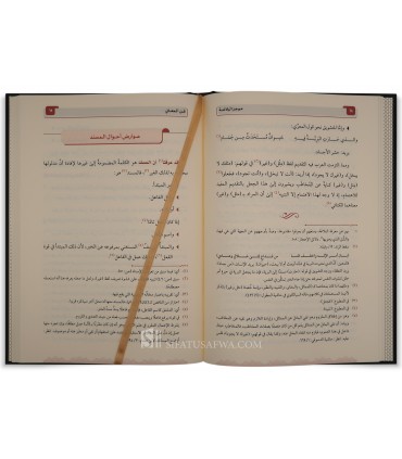 Mujaz al-Balaghah - Muhammad al-Tahir ibn Ashur - موجز البلاغة - الشيخ محمد الطاهر بن عاشور
