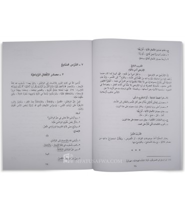 La langue arabe enseignée aux non-arabisants - 3 niveaux