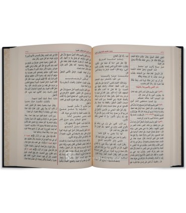 Mou'jam Maqayyis al-Loughah de Ibn Faris (395H)  معجم مقاييس اللغة لابن فارس