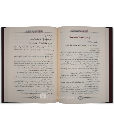 Al-Fawakih al-'Adidah fil Masa-il al-Mufidah - Ibn Manqoor al-Hanbali
