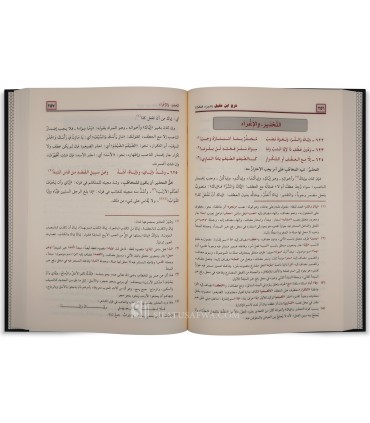 Sharh Alfiat ibn Maalik by Ibn 'Aqeel  شرح ابن عقيل على ألفية ابن مالك