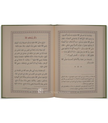 Noor al-'Uyoon (Concise Sira Nabawiya 100% harakat) - نور العيون في تلخيص سيرة الأمين المأمون ـ ابن سيد الناس