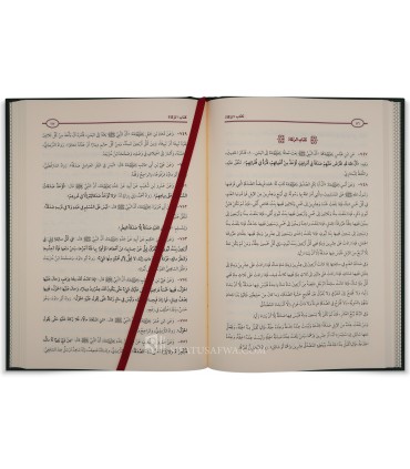 التَّمام في أحاديث الأحكام : كتاب يجمع أحاديث "بلوغ المرام" و "عمدة الأحكام" و"المُحَرَّر" - خالد بن عبدالعزيز الباتلي