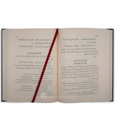 Charh Diwan al-Moutanabbi : al-Lam' al-'Azizi d'Abou 'Alaa al-Ma'ari - اللمع العزيزي شرح ديوان المتنبي - أبو العلاء المعري