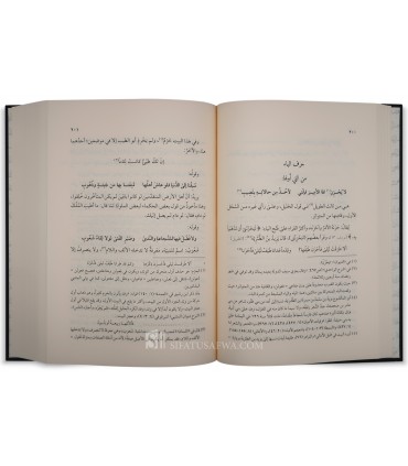 Charh Diwan al-Moutanabbi : al-Lam' al-'Azizi d'Abou 'Alaa al-Ma'ari - اللمع العزيزي شرح ديوان المتنبي - أبو العلاء المعري
