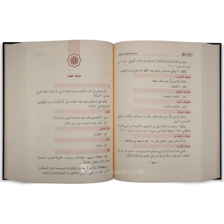 معجم المصطلحات الحديثية - سيد عبد الماجد الغوري
