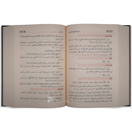 معجم المصطلحات الحديثية - سيد عبد الماجد الغوري