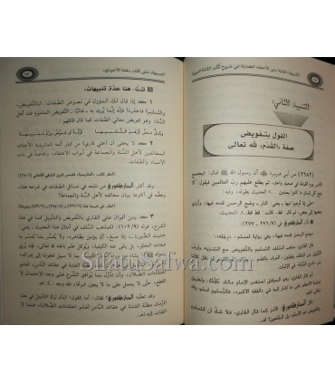 Errors of Aqeedah in 2 big Sharh of the Sunnah  التنبيهات الجلية على الأخطاء العقدية في شروح كتب السنة