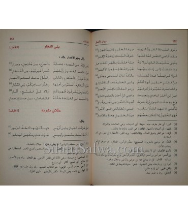 Diwan Al-Akhtal (Ghiyath ibn Ghawth)  ديوان الأخطل - غياث بن غوت